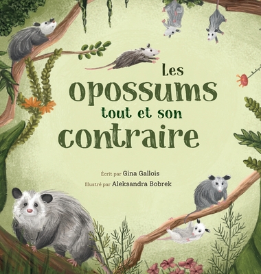 Les opossums: tout et son contraire - Gina Gallois