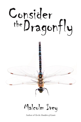 Consider the Dragonfly - Malcolm Ivey