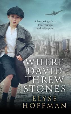 Where David Threw Stones - Elyse Hoffman