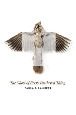 The Ghost of Every Feathered Thing - Julie Kim Shavin