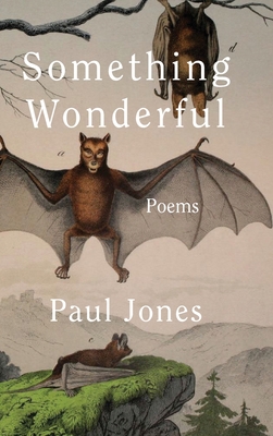Something Wonderful - Paul Jones