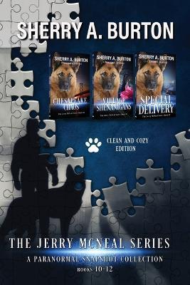The Jerry McNeal Series, a Paranormal Snapshot Collection Volume 4: (Books 10-12) Chesapeake Chaos, Village Shenanigans, Special Delivery - Sherry A. Burton