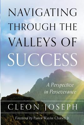 Navigating Through The Valleys Of Success: A Perspective In Perseverance - Cleon Joseph
