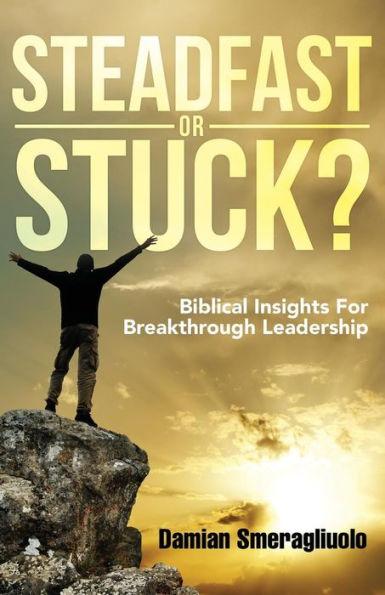 Steadfast Or Stuck?: Biblical Insights For Breakthrough Leadership - Damian Smeragliuolo