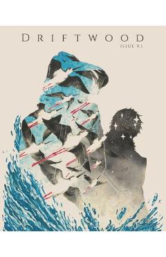 Coperta cărții 'Driftwood Press 9.1 - James Mcnulty'