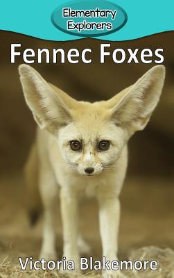 Fennec Foxes - Victoria Blakemore