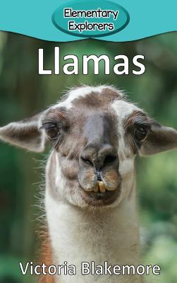 Llamas - Victoria Blakemore