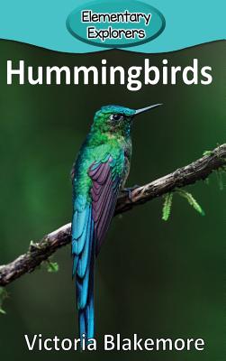 Hummingbirds - Victoria Blakemore