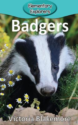 Badgers - Victoria Blakemore