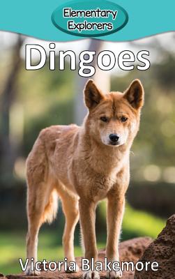 Dingoes - Victoria Blakemore