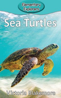 Sea Turtles - Victoria Blakemore
