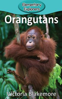 Orangutans - Victoria Blakemore