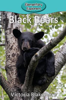 Black Bears - Victoria Blakemore