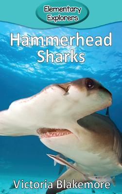 Hammerhead Sharks - Victoria Blakemore