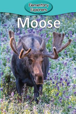 Moose - Victoria Blakemore