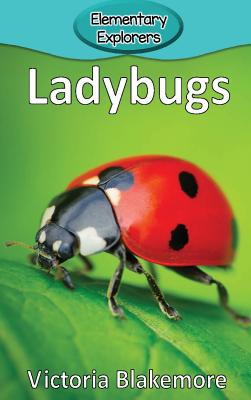 Ladybugs - Victoria Blakemore