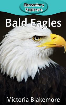 Bald Eagles - Victoria Blakemore