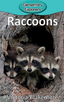 Raccoons - Victoria Blakemore