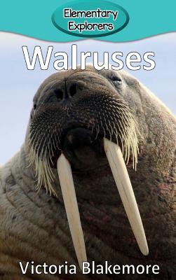 Walruses - Victoria Blakemore