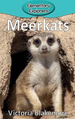 Meerkats - Victoria Blakemore