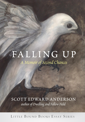 Falling Up: A Memoir of Second Chances - Scott Edward Anderson
