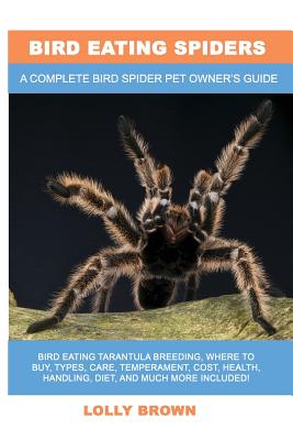 Bird Eating Spiders: Bird Eating Tarantula breeding, where to buy, types, care, temperament, cost, health, handling, diet, and much more in - Lolly Brown