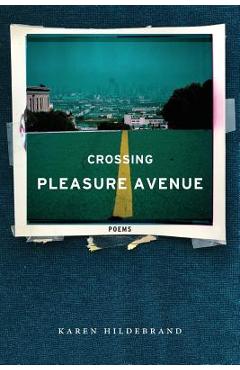 Coperta cărții 'Crossing Pleasure Avenue - Karen Hildebrand'
