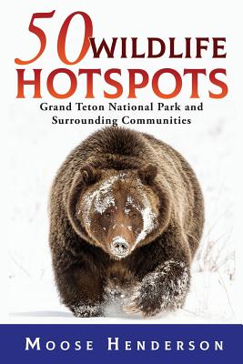 50 Wildlife Hotspots: Grand Teton National Park and Surrounding Communities - Moose Henderson