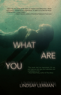 What Are You - Lindsay Lerman