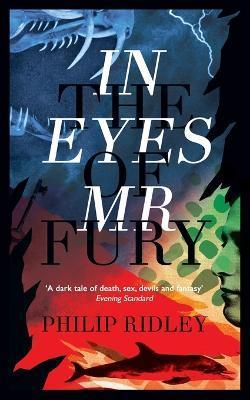 In the Eyes of Mr Fury - Philip Ridley