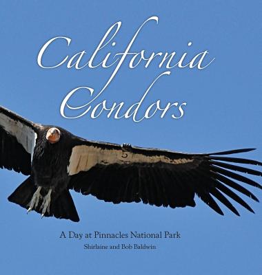 California Condors: A Day at Pinnacles National Park - Shirlaine Baldwin