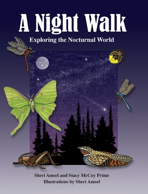 A Night Walk: Exploring the Nocturnal World - Sheri Amsel