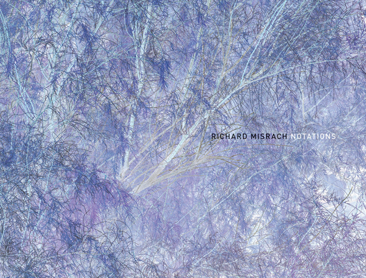 Richard Misrach: Notations - Richard Misrach