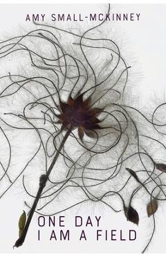 Coperta cărții 'One Day I Am a Field - Amy Small-mckinney'
