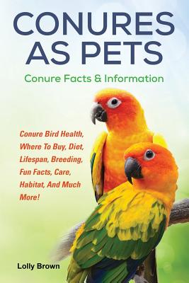 Conures as Pets: Conure Bird Health, Where To Buy, Diet, Lifespan, Breeding, Fun Facts, Care, Habitat, And Much More! Conure Facts & In - Lolly Brown