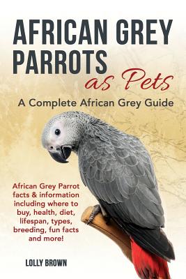 African Grey Parrots as Pets: African Grey Parrot facts & information including where to buy, health, diet, lifespan, types, breeding, fun facts and - Lolly Brown