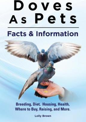 Doves As Pets: Breeding, Diet, Housing, Health, Where to Buy, Raising, and More. Facts & Information - Lolly Brown