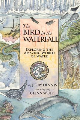 The Bird in the Waterfall: Exploring the Wonders of Water - Glenn Wolff