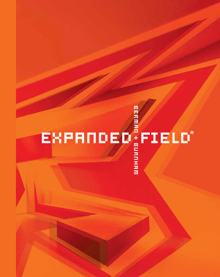 Expanded Field: Installation Architecture Beyond Art - Ila Berman
