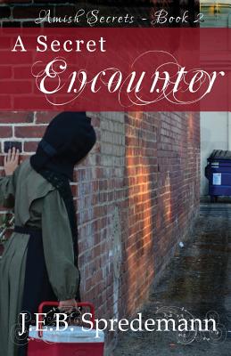 A Secret Encounter (Amish Secrets #2) - J. E. B. Spredemann