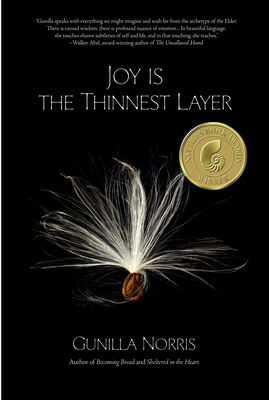 Joy Is the Thinnest Layer - Gunilla Norris