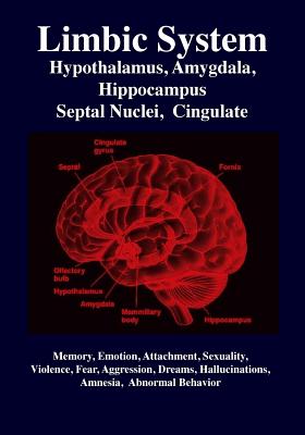 Limbic System: Amygdala, Hypothalamus, Septal Nuclei, Cingulate, Hippocampus: Emotion, Memory, Language, Development, Evolution, Love - R. Gabriel Joseph