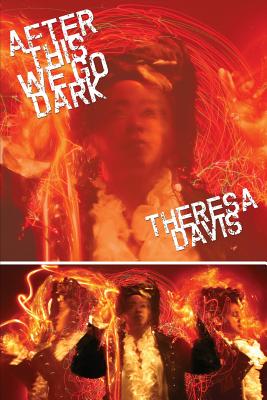 After This We Go Dark - Theresa Davis
