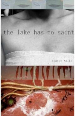 Coperta cărții 'The Lake Has No Saint - Stacey Waite'