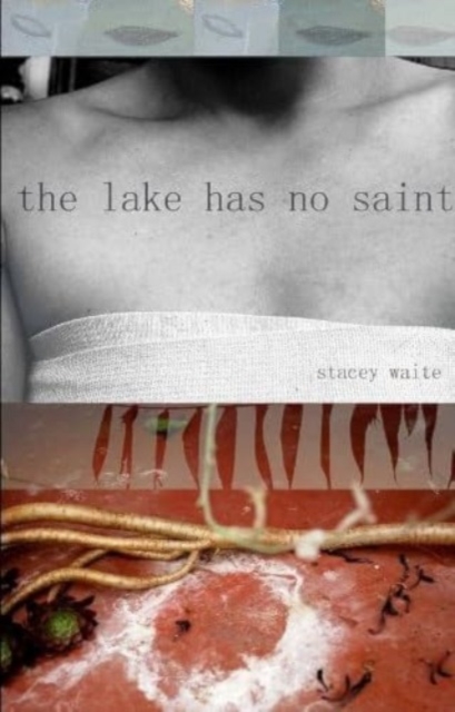Coperta cărții 'The Lake Has No Saint - Stacey Waite'
