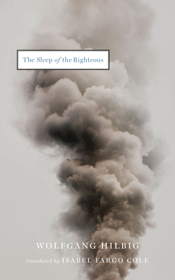 The Sleep of the Righteous - Wolfgang Hilbig