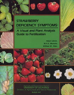 Strawberry Deficiency Symptoms: A Visual and Plant Analysis Guide to Fertilization - Albert Ulrich