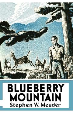 Coperta cărții 'Blueberry Mountain - Stephen W. Meader'