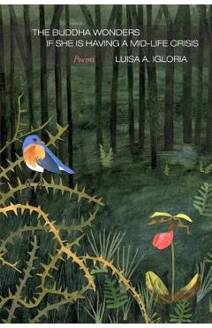 Coperta cărții 'The Buddha Wonders if She is Having a Mid-life Crisis - Luisa A. Igloria'