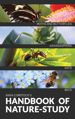 The Handbook Of Nature Study in Color - Insects - Anna B. Comstock